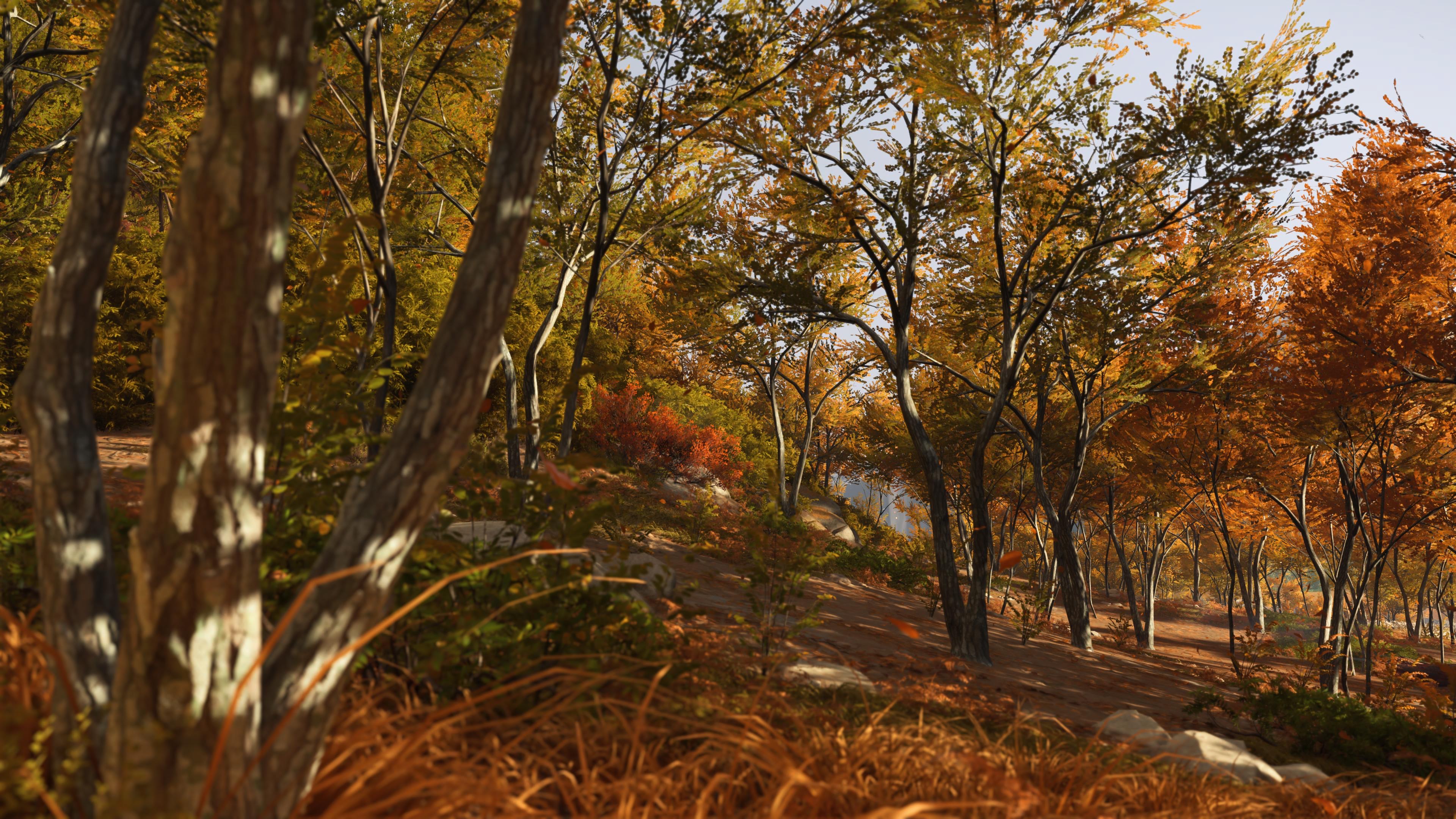 Screenshot of autumnal forest in Ghost of Yotei