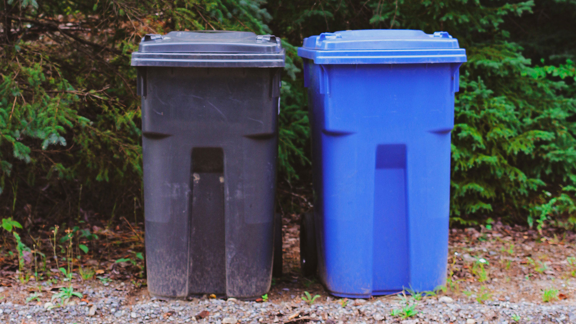 A black bin sat next to a blue bin