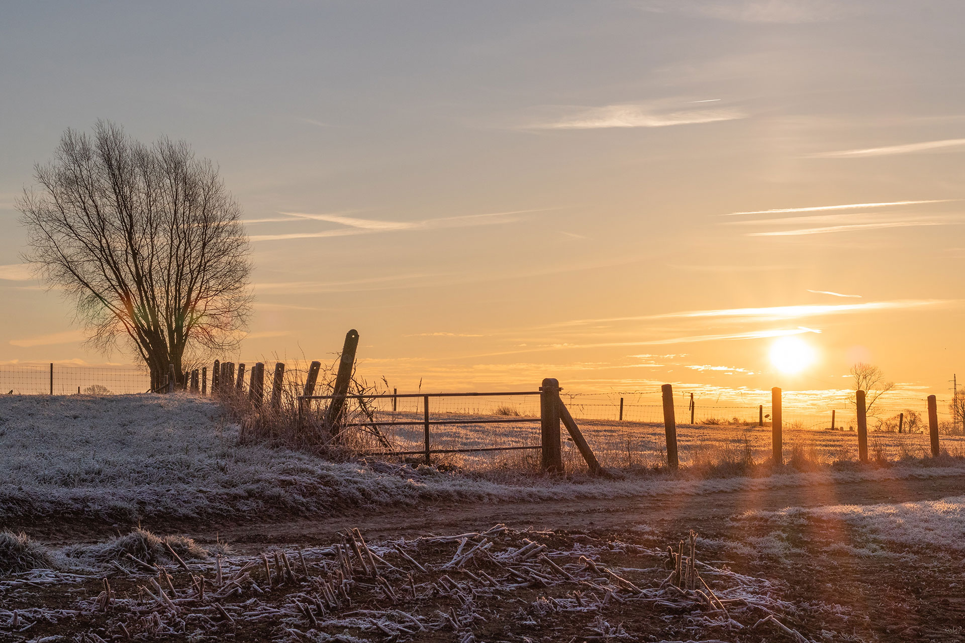 A snowy sunset