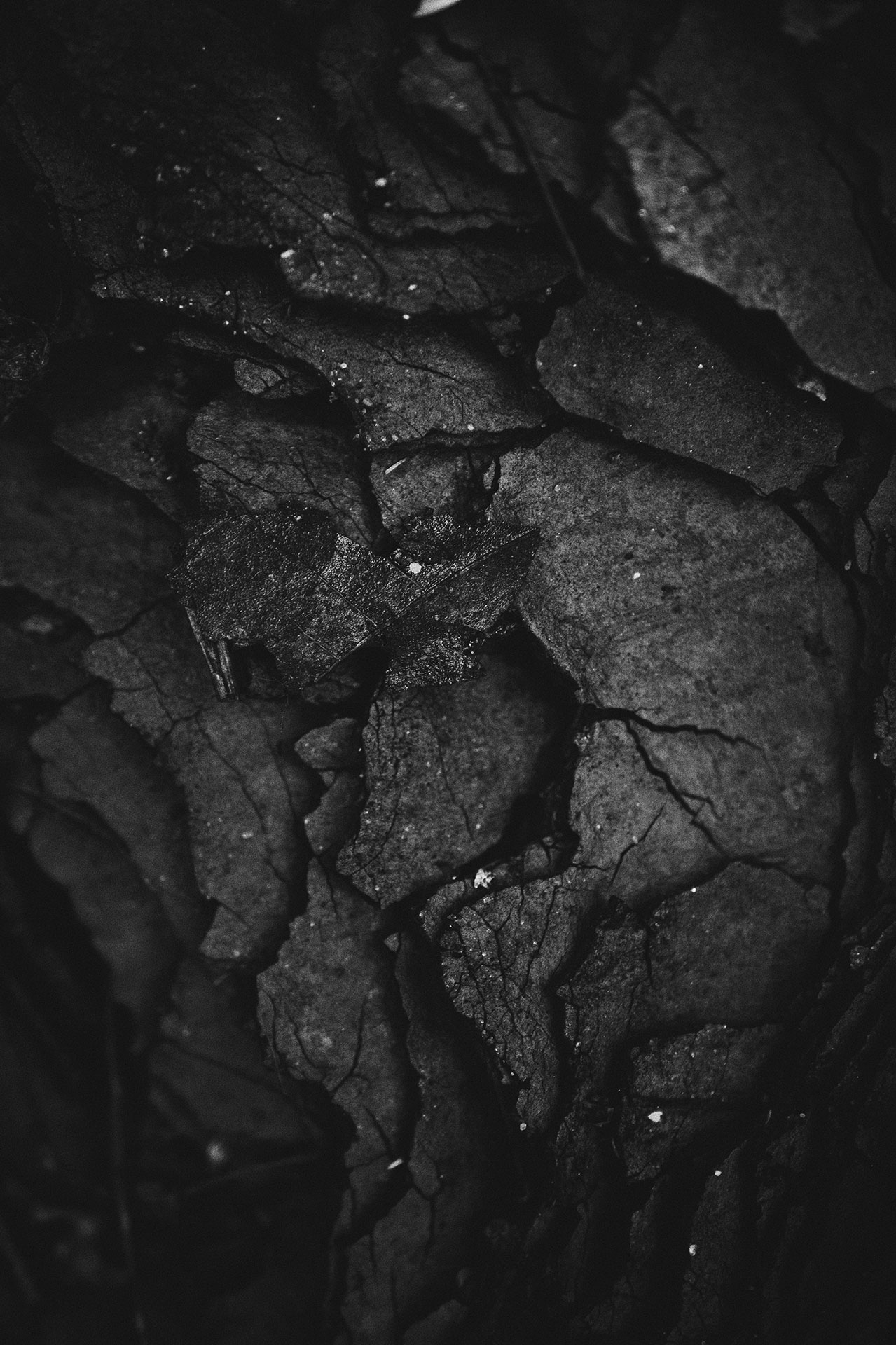 Dark grey cracked rock