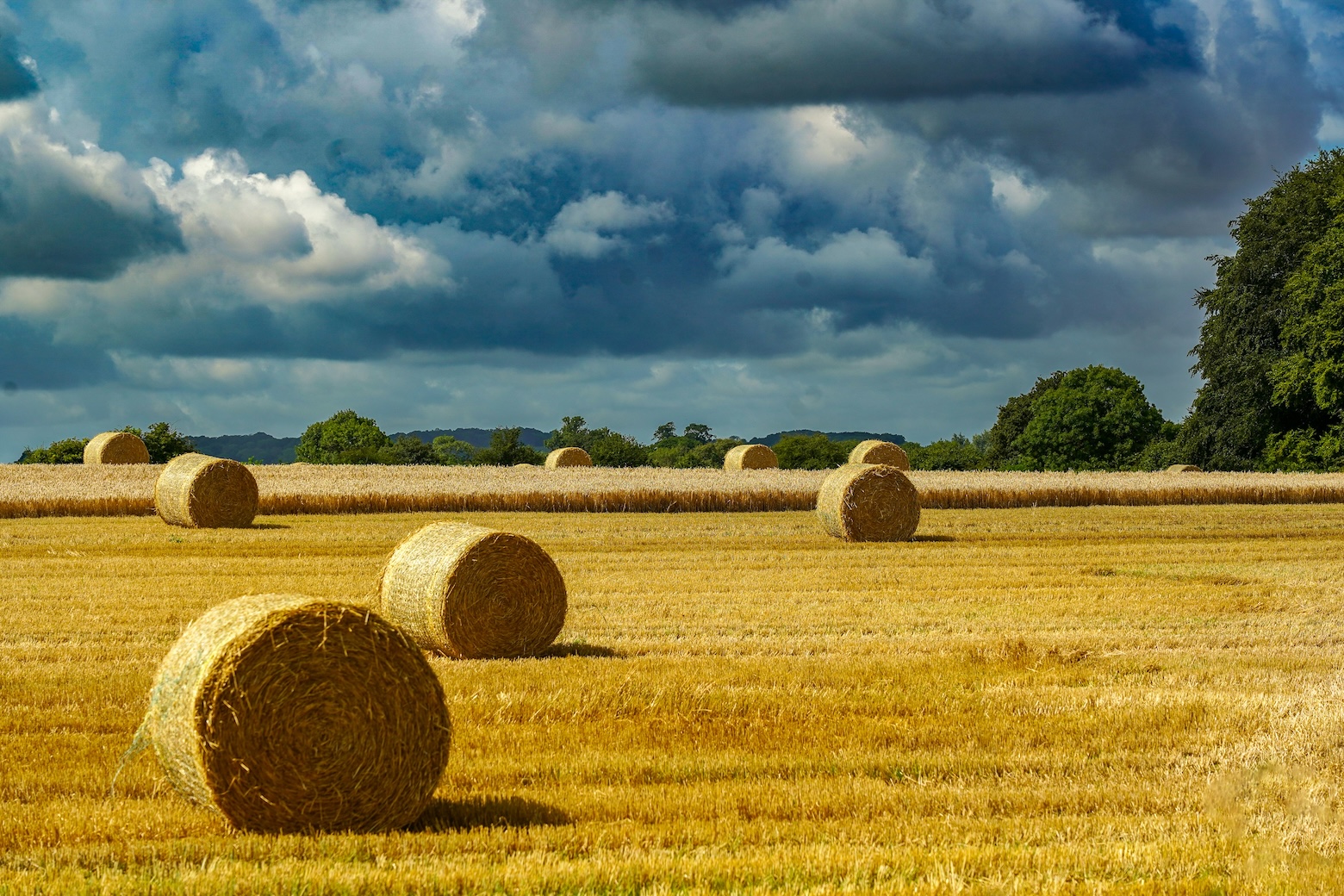 Hay bales in a field against a stormy grey sky